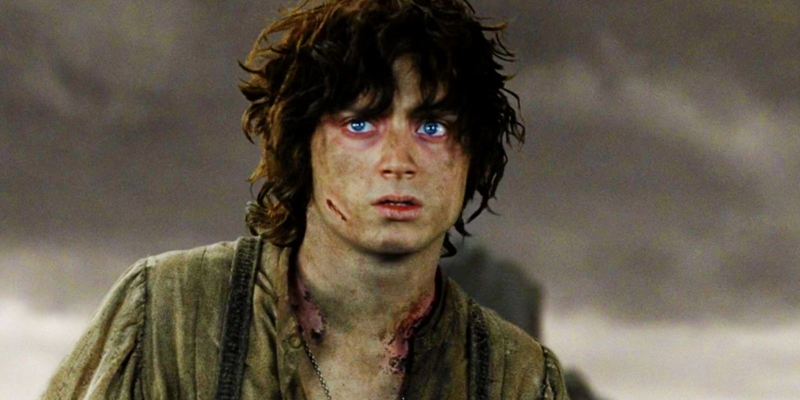 Elijah Wood looking exhausted as Frodo in The Lord of the Rings: The Return of the King.