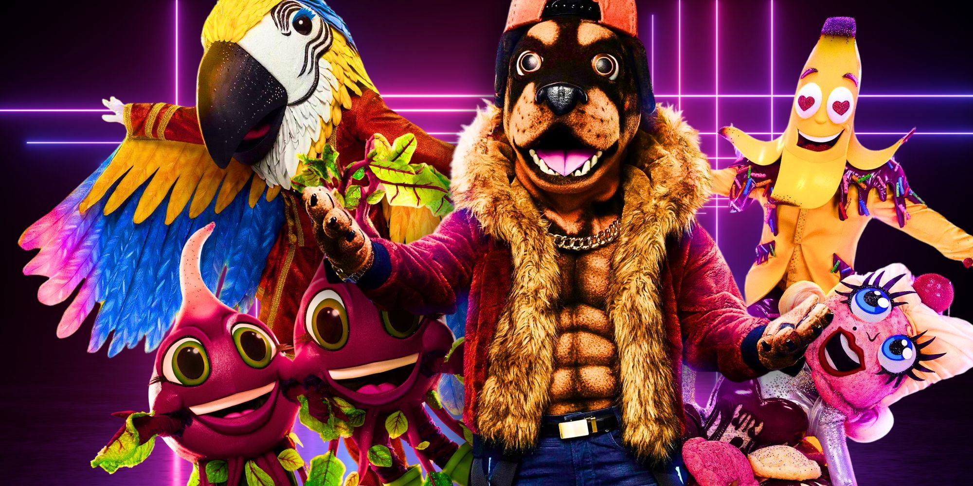 Beets, macaw, banana split, Rottweiler from the masked singer who are american idol contestants
