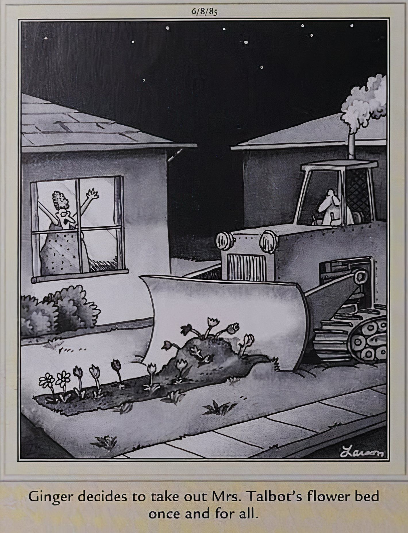 Far Side, a woman looks out through her window in dismay as a neighborhood dog steamrolls her garden