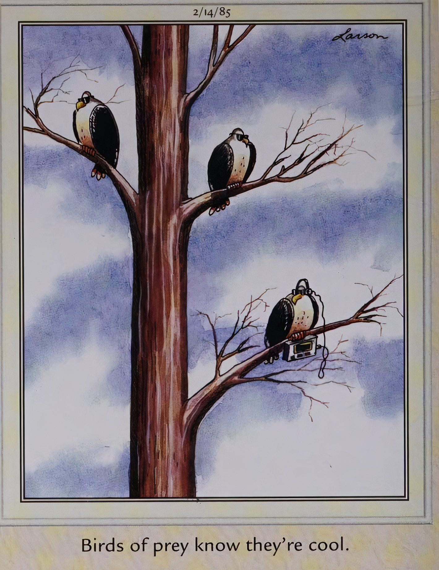 Far Side, birds in tree wearing sunglasses, caption says 'birds of prey know they're cool'
