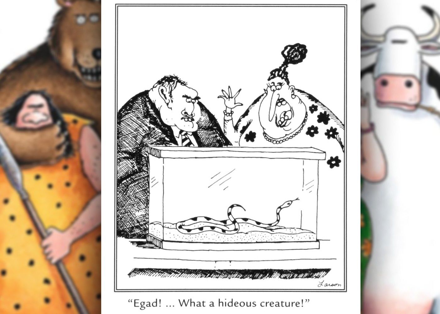 far side eighth comic, two ugly people call a snake ugly