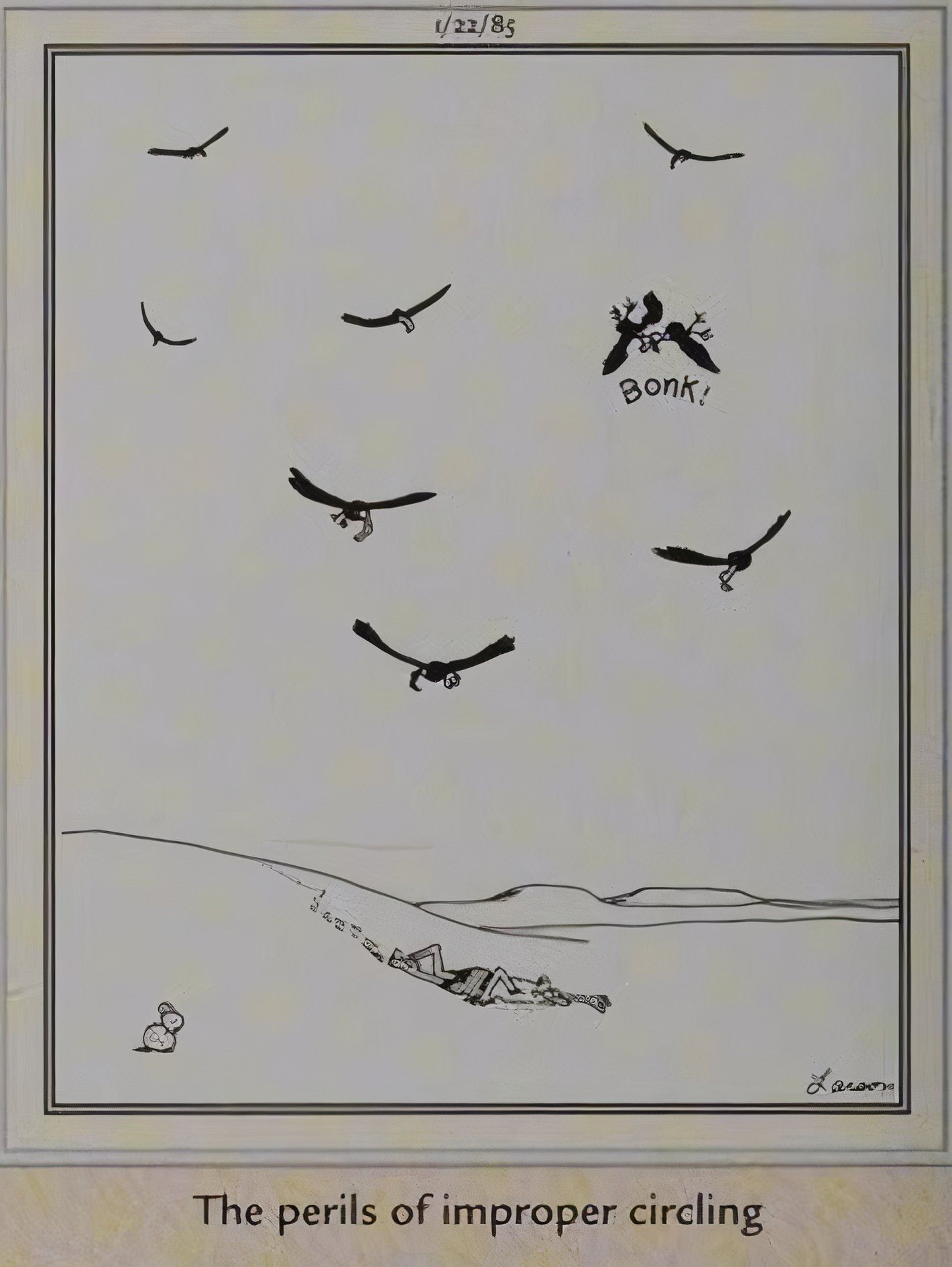 Far Side, two birds of prey collide as they circle a man crawling through the desert