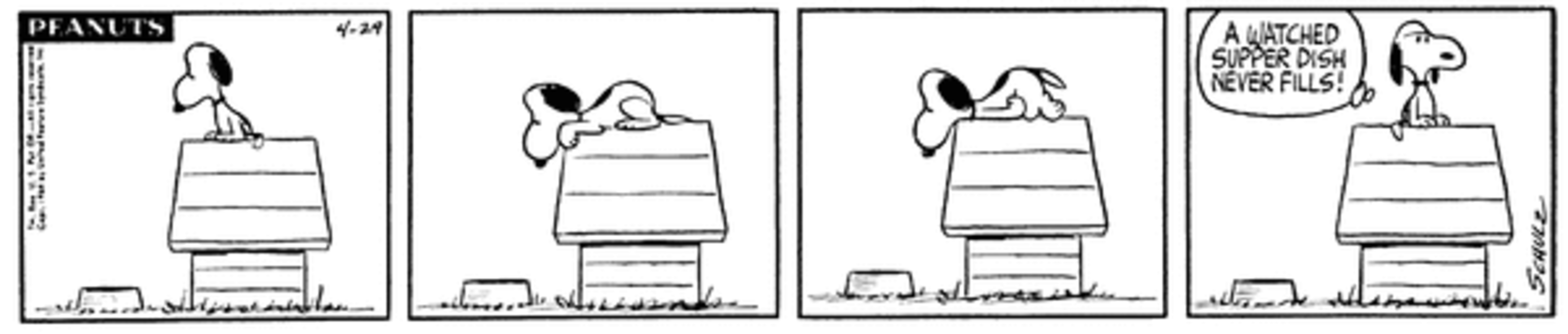 Snoopy on his doghouse in Peanuts.