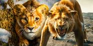 The Lion King ScreenRant