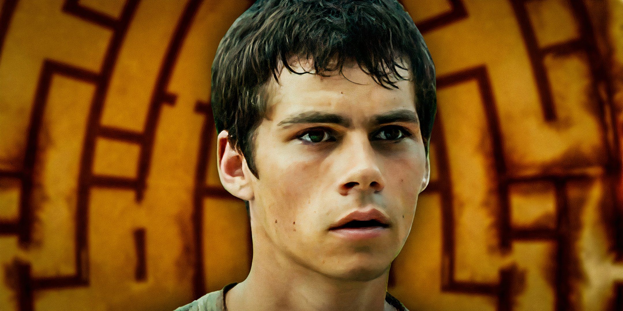 Thomas is in front of the maze in Maze Runner