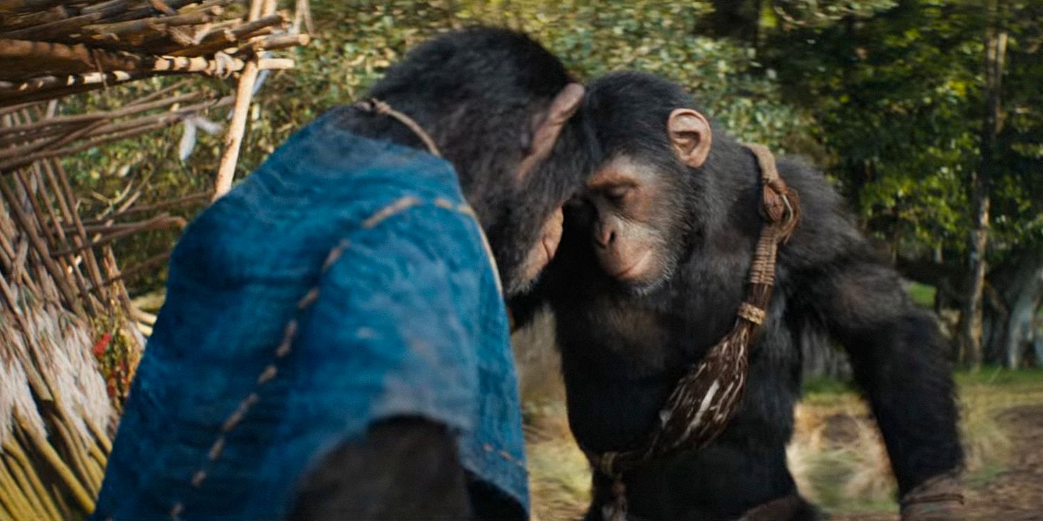 10 Biggest Takeaways From Kingdom Of The Planet Of The Apes' Reviews & 86% Rotten Tomatoes Score