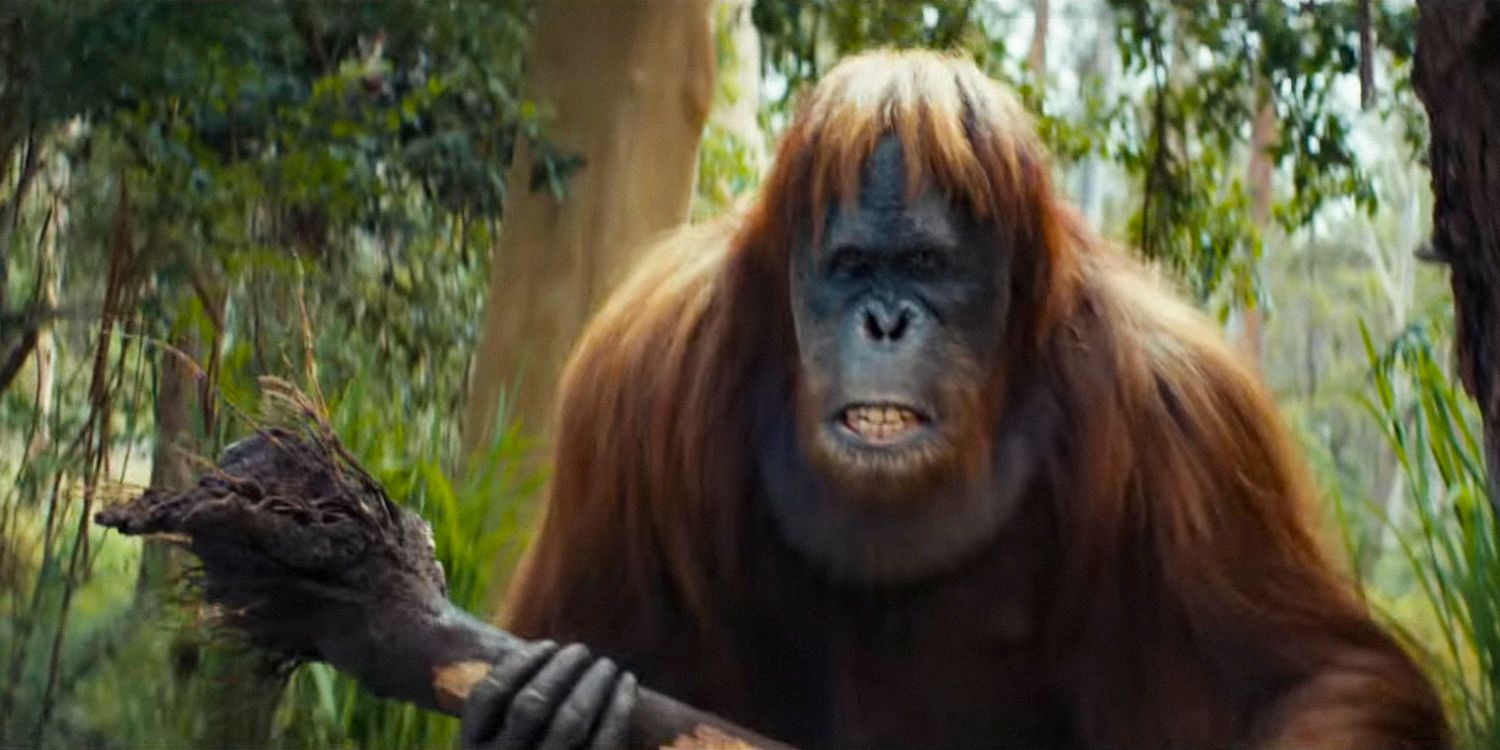 Kingdom Of The Planet Of The Apes Director Reacts To Real Ape Intelligence Breakthrough