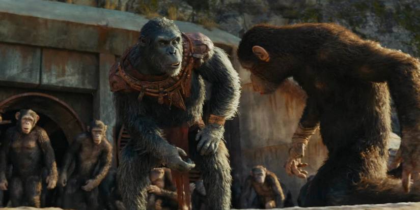 Proximus Caesar looks at Noa lying on the ground weak from the beating in Kingdom of the Planet of the Apes