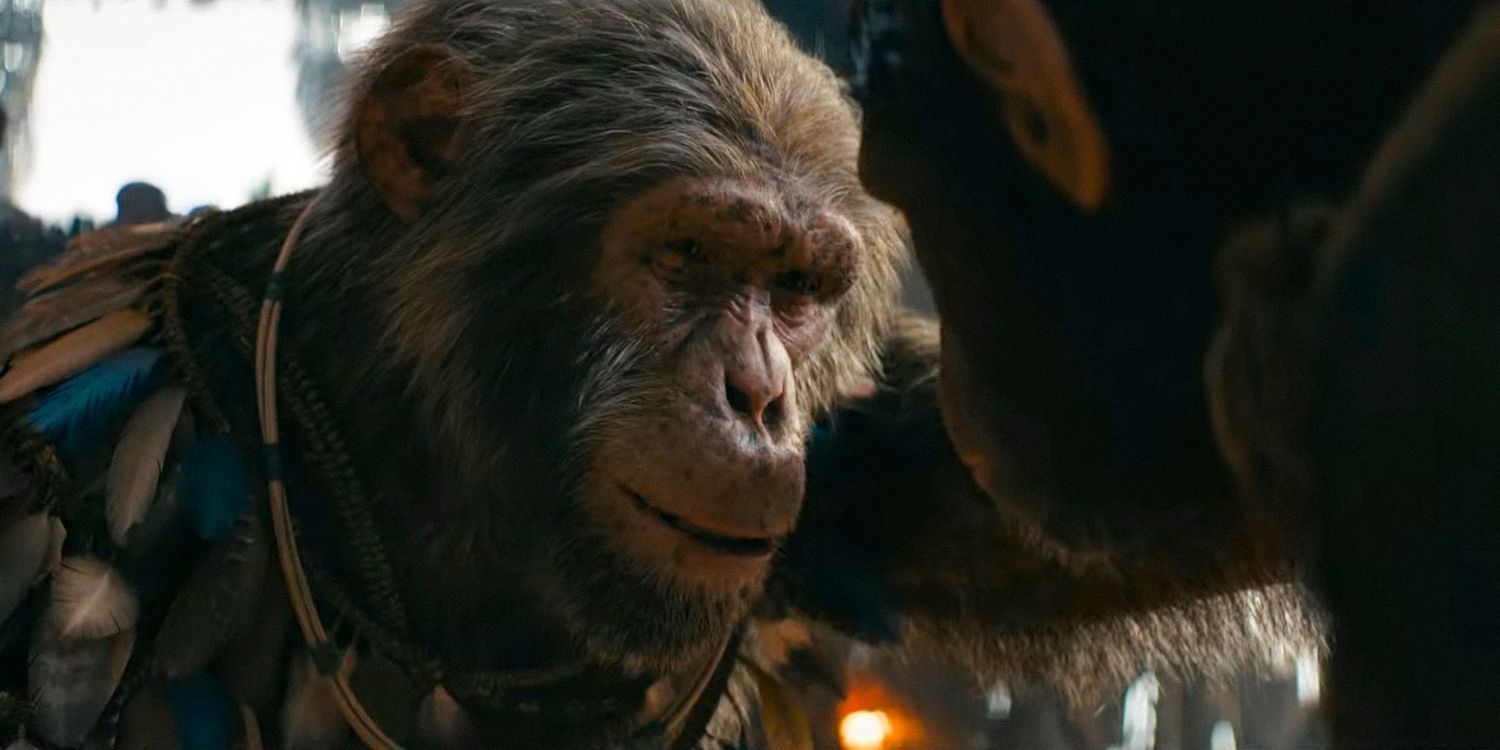 Every Faction & Colony In Kingdom Of The Planet Of The Apes Explained