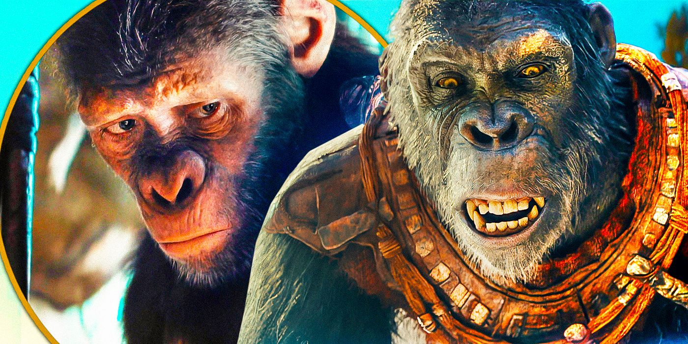 Kingdom Of The Planet Of The Apes Confirms The Franchise Is A One-Of-A-Kind For Hollywood