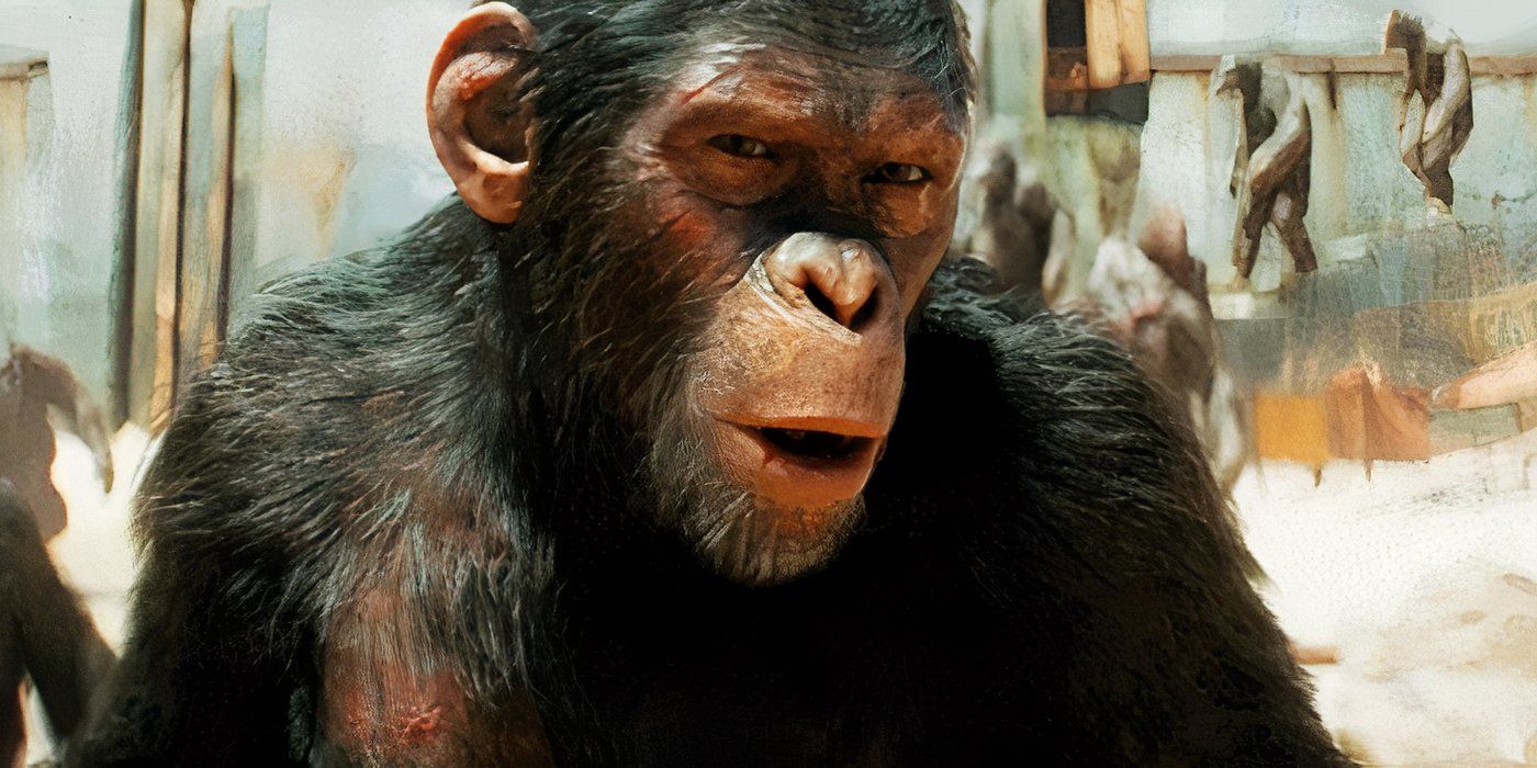 Kingdom of the Planet of the Apes Scar Noa
