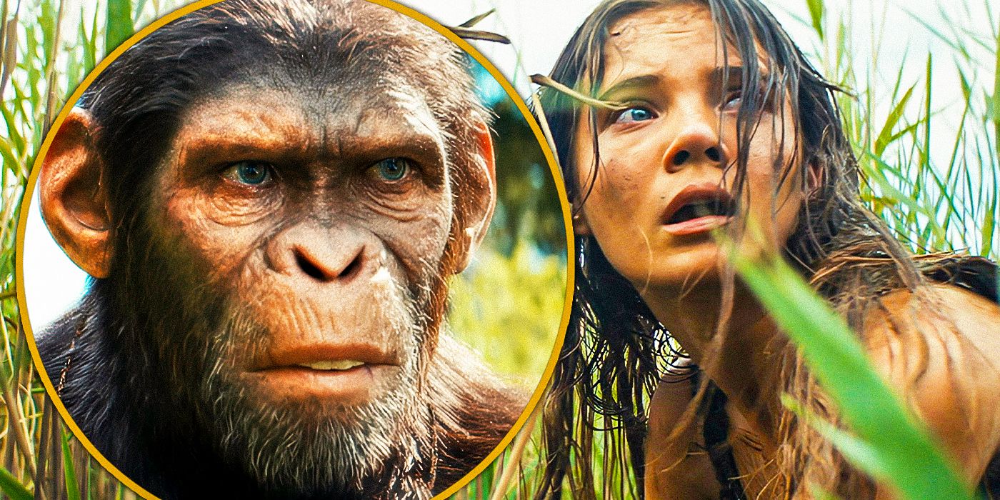 Kingdom Of The Planet Of The Apes Confirms The Franchise Is A One-Of-A-Kind For Hollywood