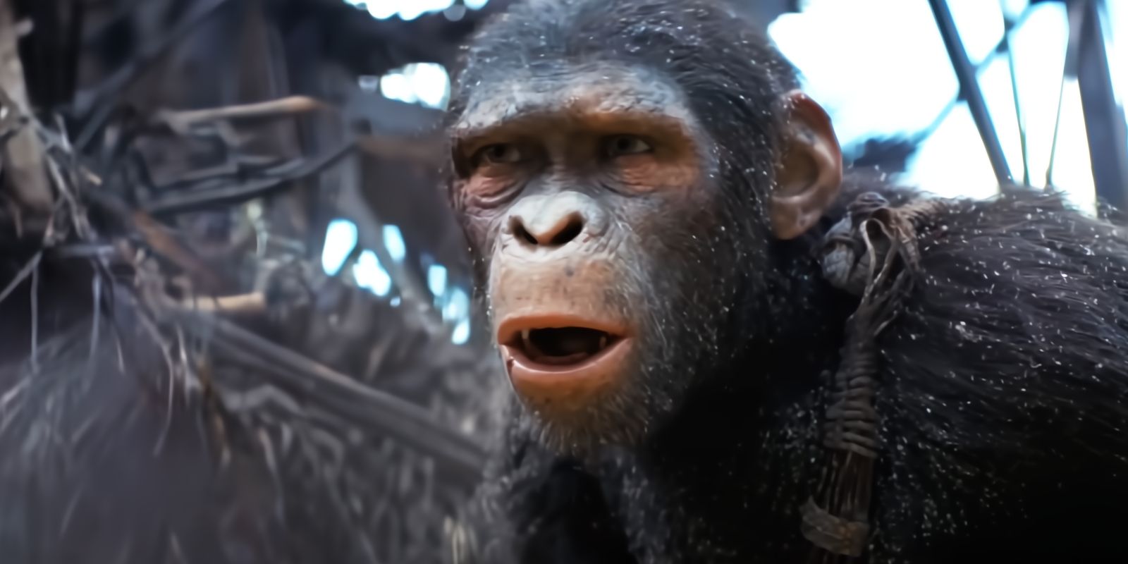 Noa with his mouth agape in Kingdom of the Planet of the Apes