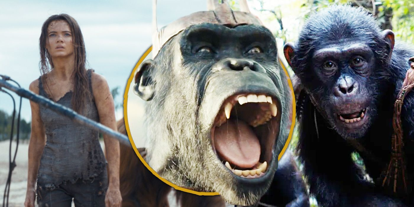 Kingdom Of The Planet Of The Apes Director Wes Ball Talks Creating Worlds In New Dolby Cinemas Clip