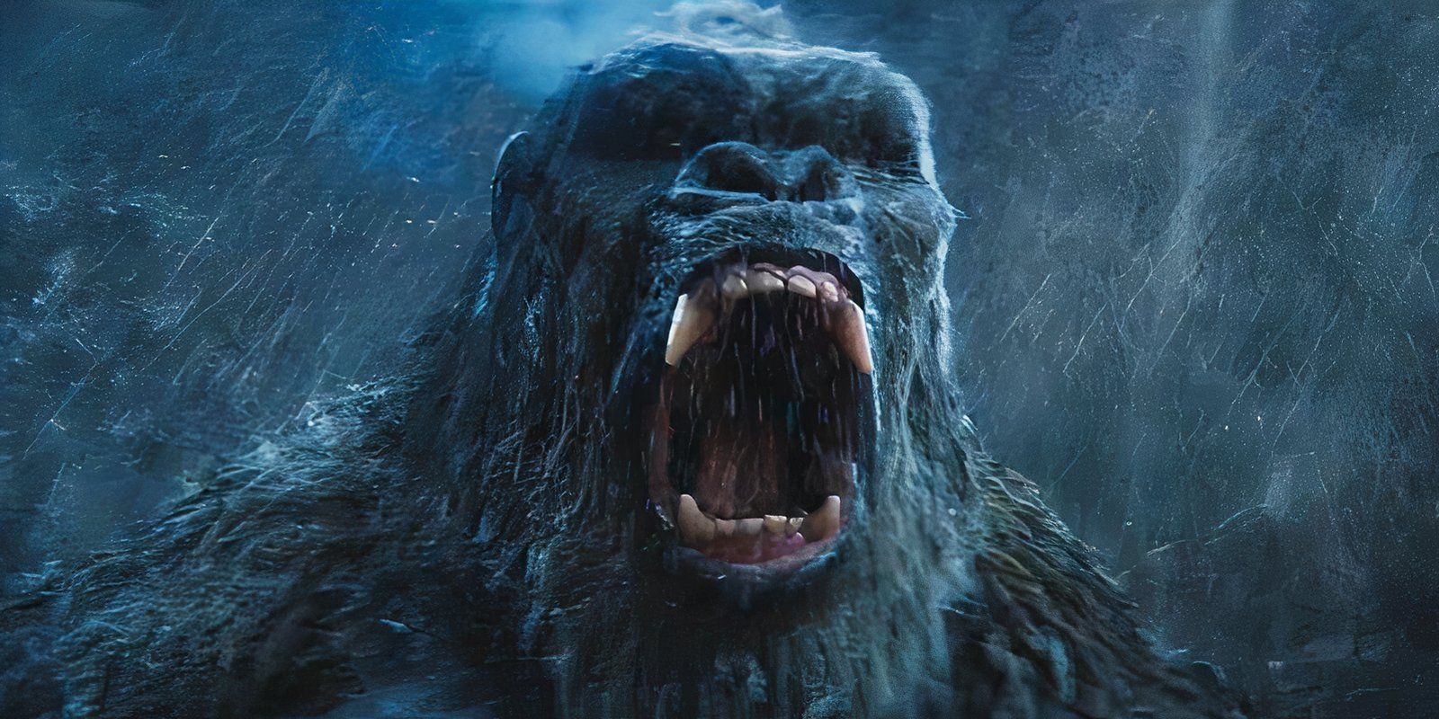 El regreso de Kongs Monsterverse finalmente puede compensar la verdadera secuela de Skull Island que nunca sucedió