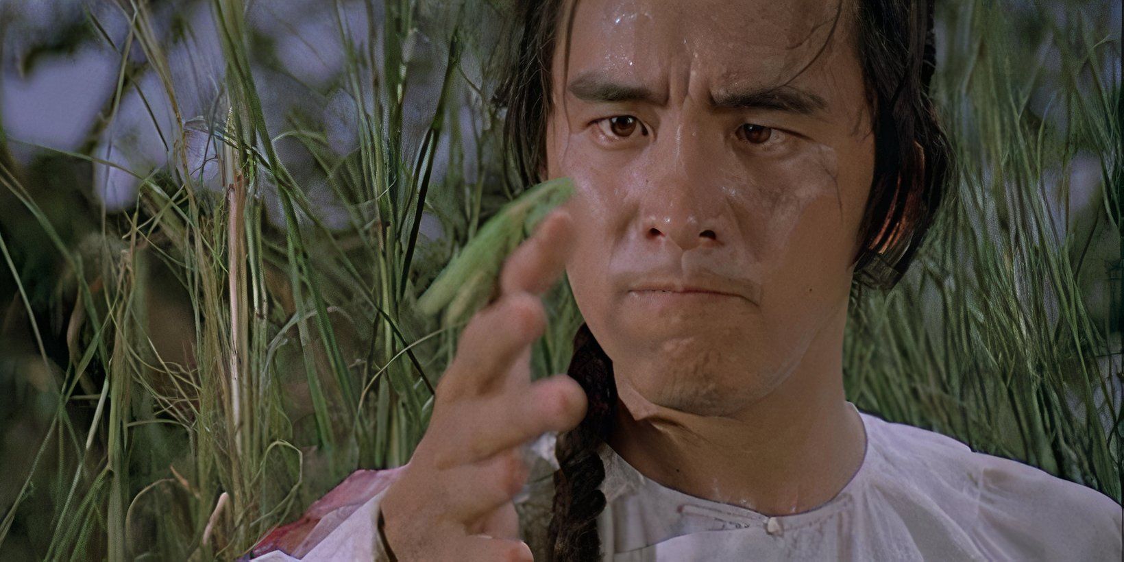 This 46-Year-Old Underrated Movie's Hero Learned Martial Arts From A Bug - Yes, Really