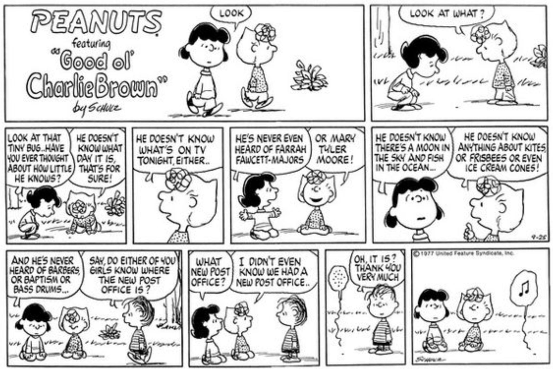 Lucy and Sally talking about Farrah Fawcett and Mary Tyler Moore in Peanuts.