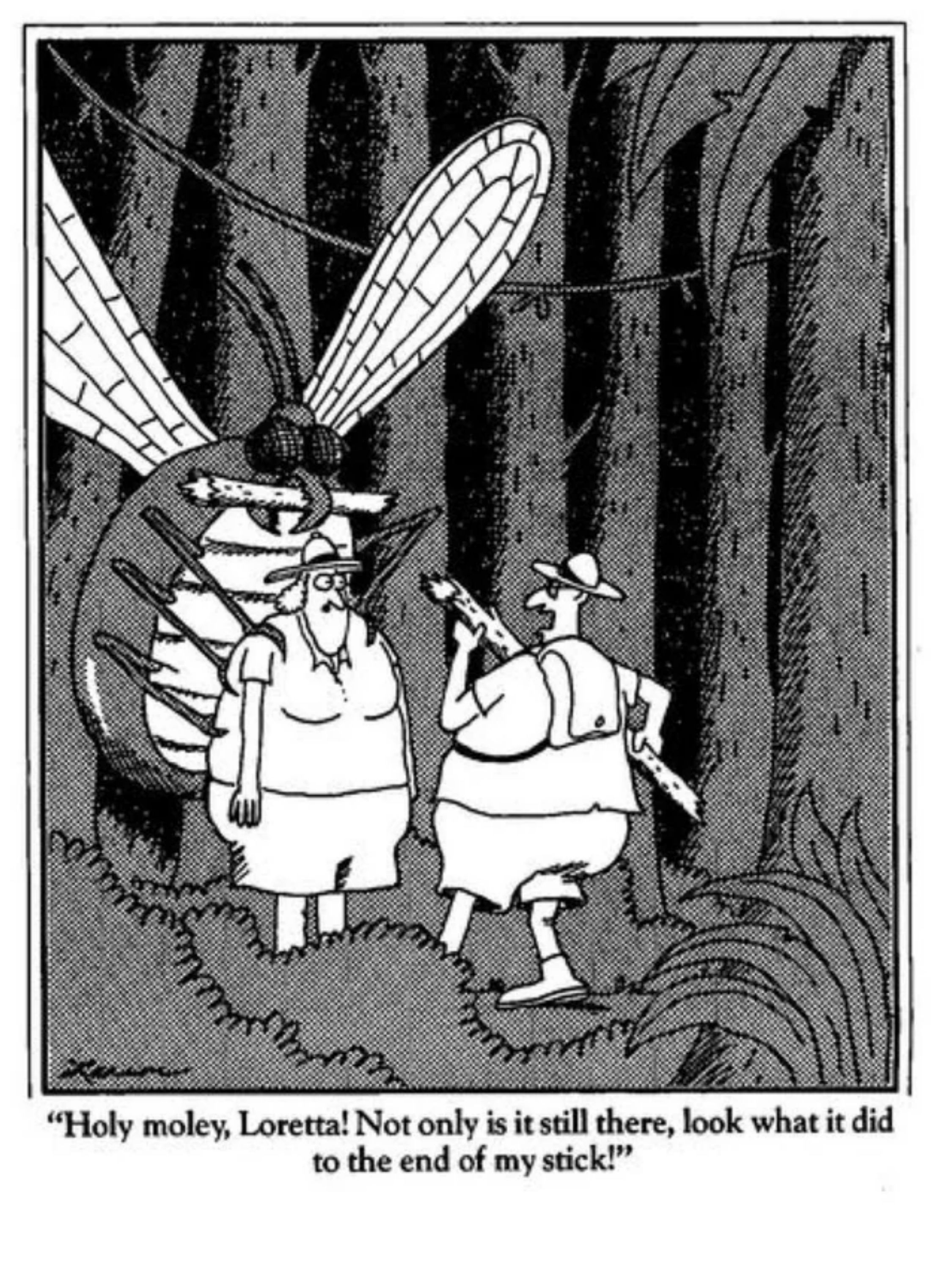 Two people in the jungle with a gigantic bug in Far Side.