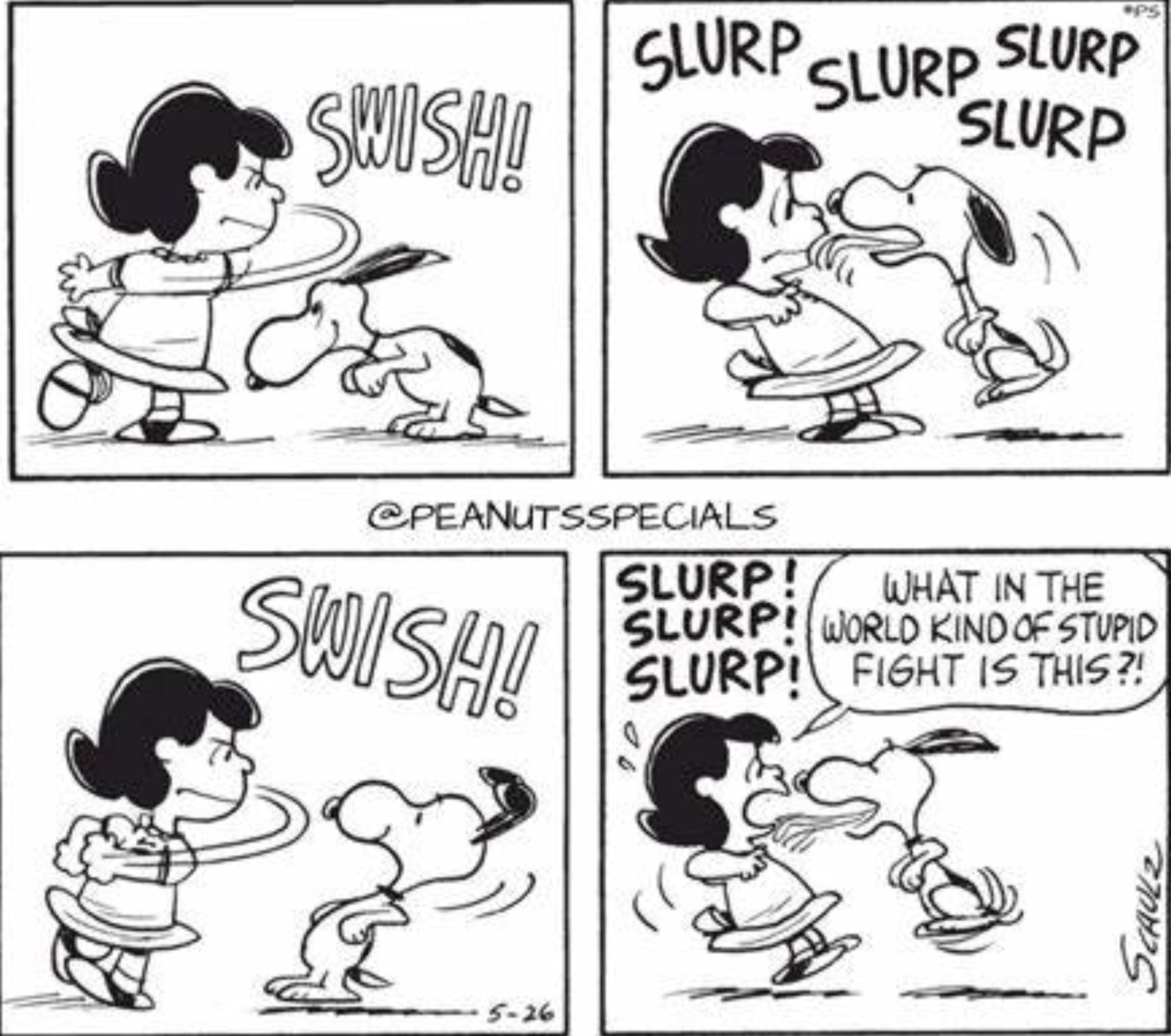 Lucy dá um soco em Snoopy, que a lambe em resposta, o que a leva a perguntar: "Que... tipo de briga estúpida é essa?"