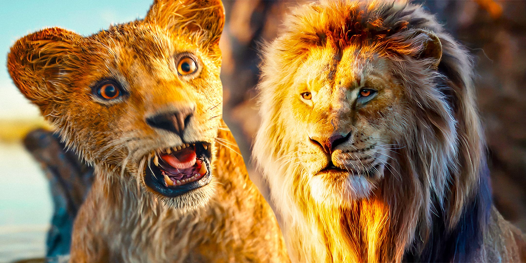 Images of a young Mufasa and older version of the character from Mufasa: The Lion King
