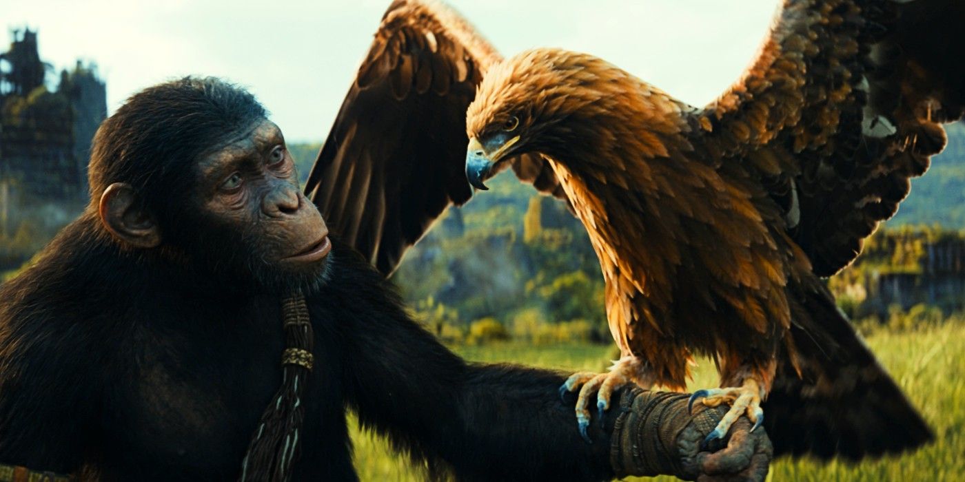 Noa holds an eagle on his arm in Kingdom of the Planet of the Apes