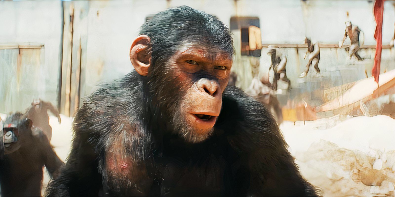 Noa Looks Incredulous in Kingdom of the Planet of the Apes