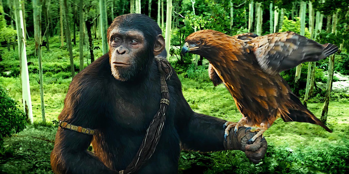 Why Kingdom Of The Planet Of The Apes Doesn't Reveal Specific Timeline Date Explained By Wes Ball