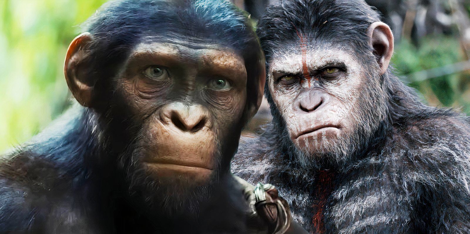 Noa in Kingdom of the Planet of the Apes juxtaposed with Caesar in Dawn of the Planet of the Apes