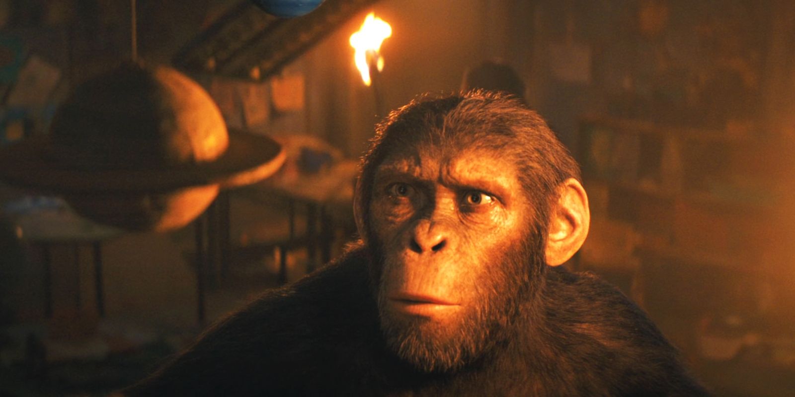 Noa looking curious in Kingdom of the Planet of the Apes