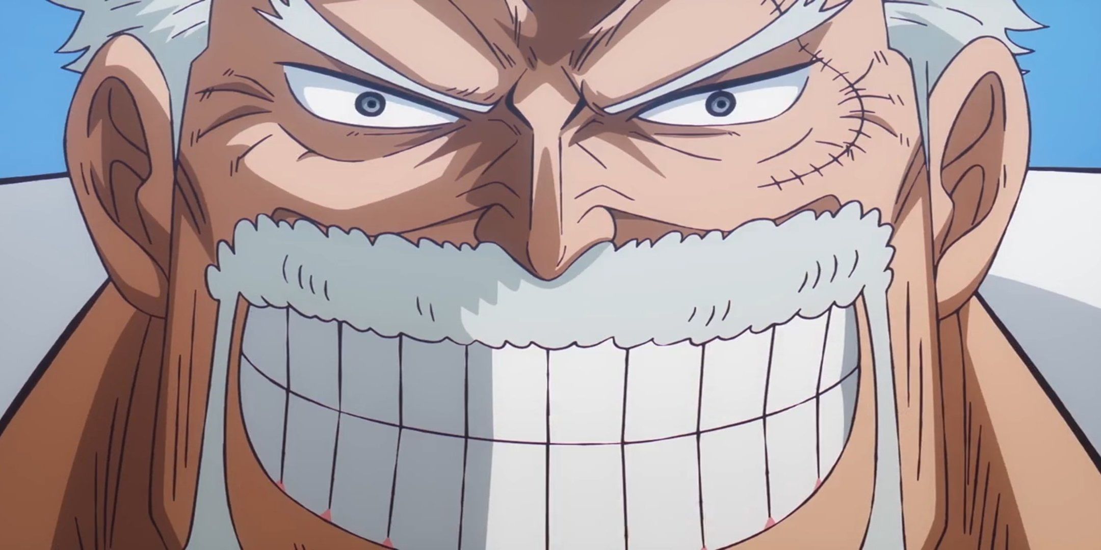 Garp in episode 1103