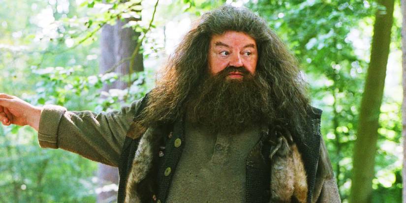 Robbie Coltrane as Hagrid in Harry Potter and the Prisoner of Azkaban.
