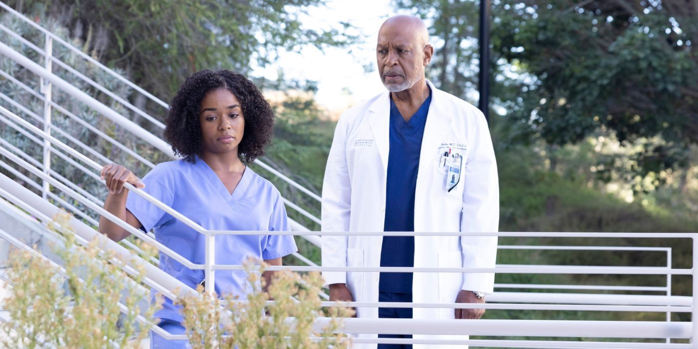 Greys Anatomy Temporada 21 Nuevo reparto y guía de personajes que regresan