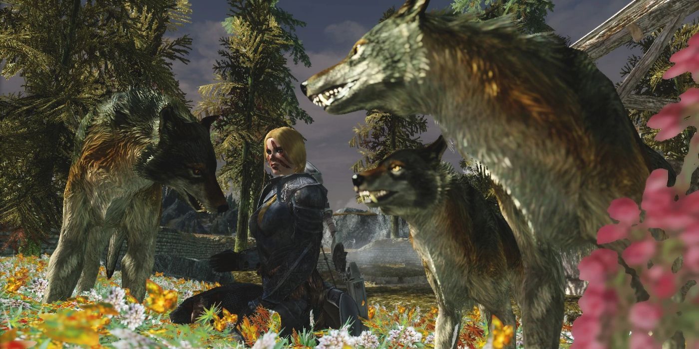 Player with pet wolves in the Tame The Beasts Of Skyrim Mod.