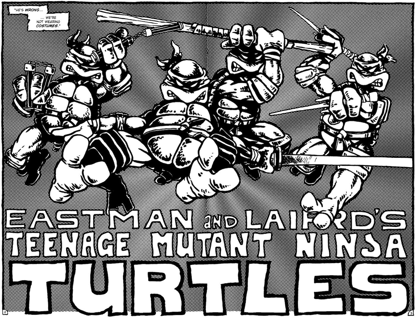 Teenage Mutant Ninja Turtles first issue