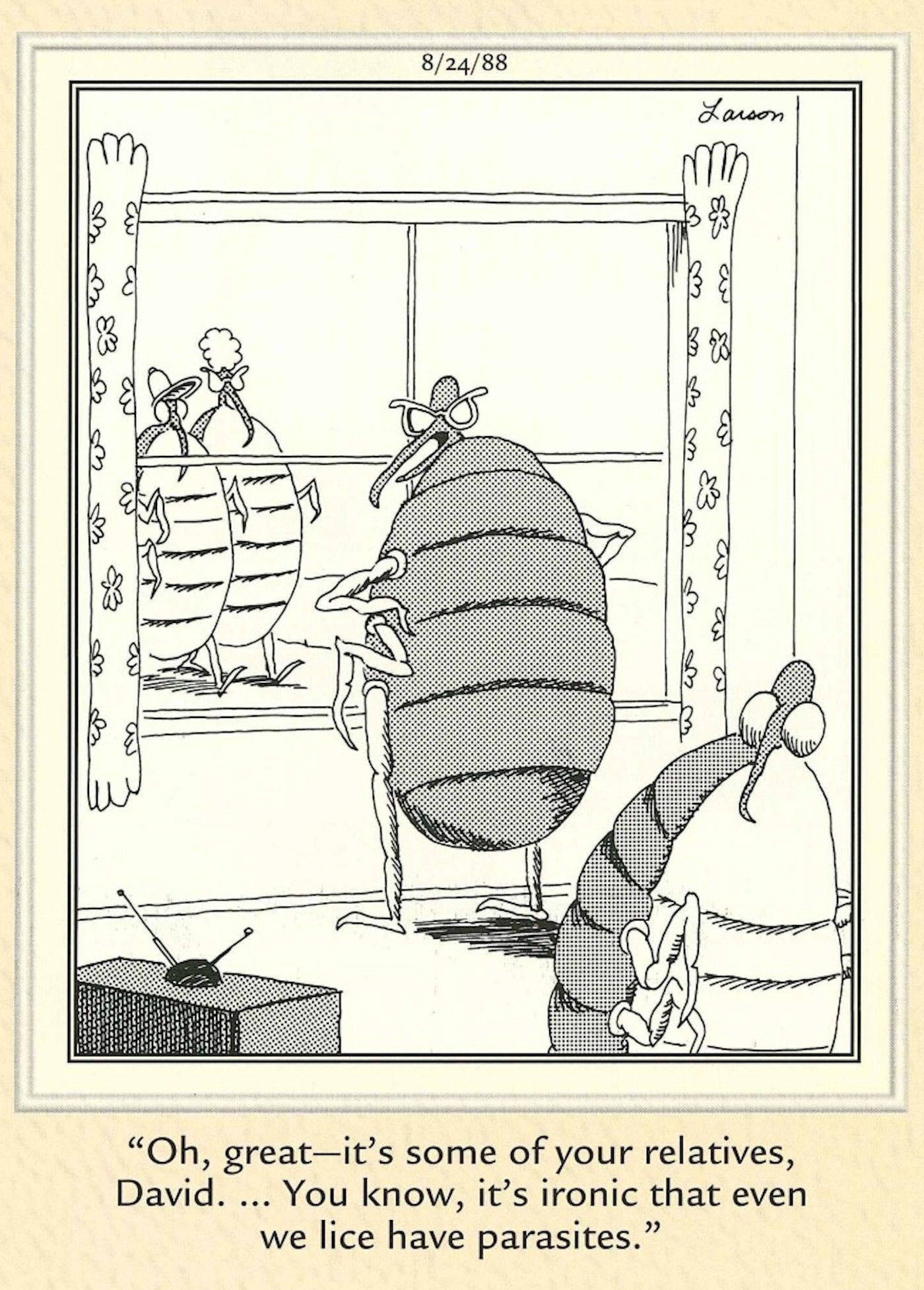 The Far Side lice have parasites