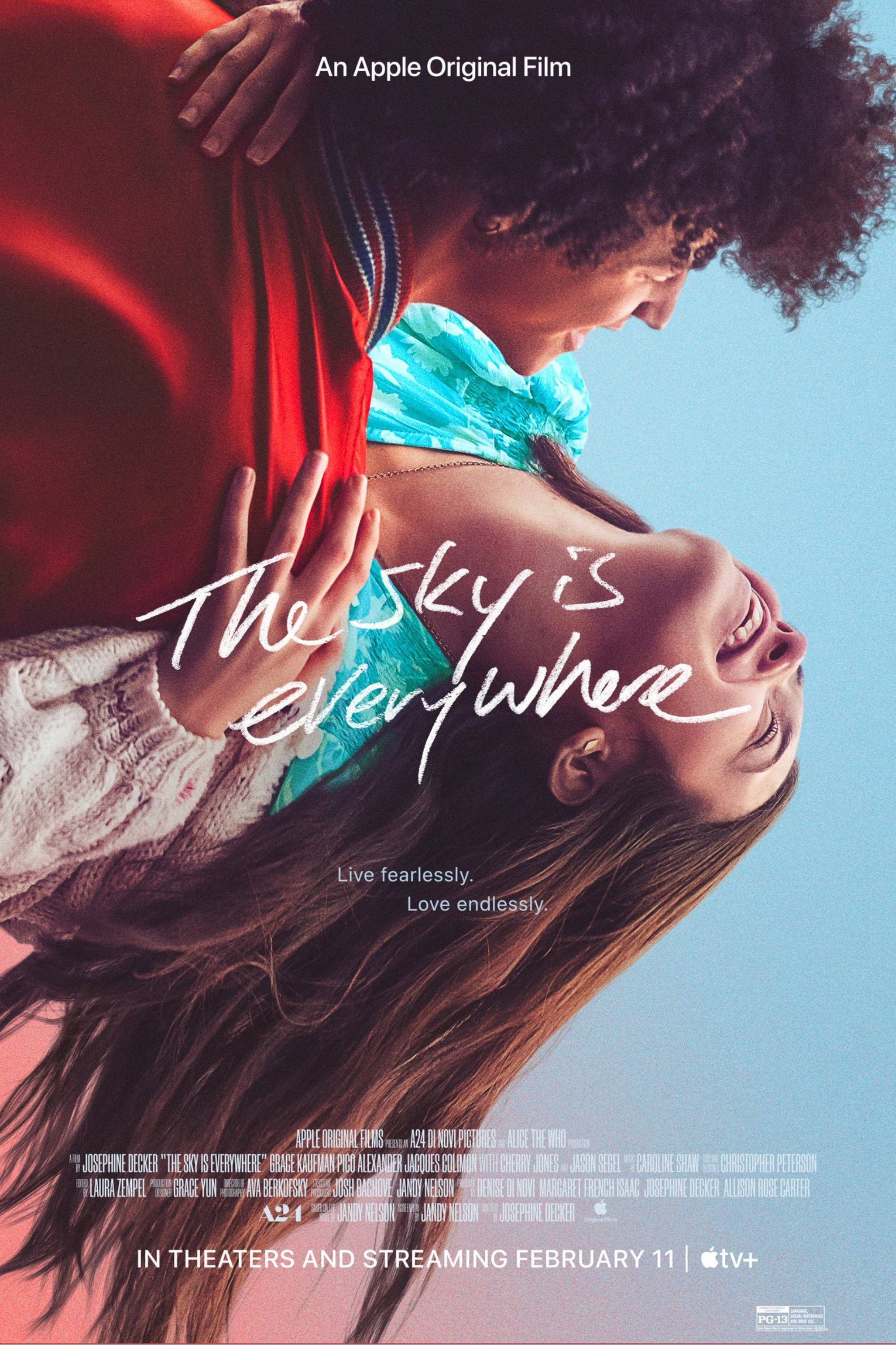 The Sky Is Everywhere - Poster