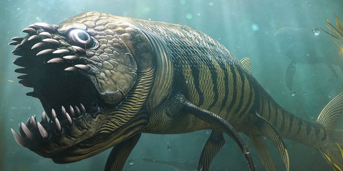 A Xiphactinus with its mouth agape as it swims underwater
