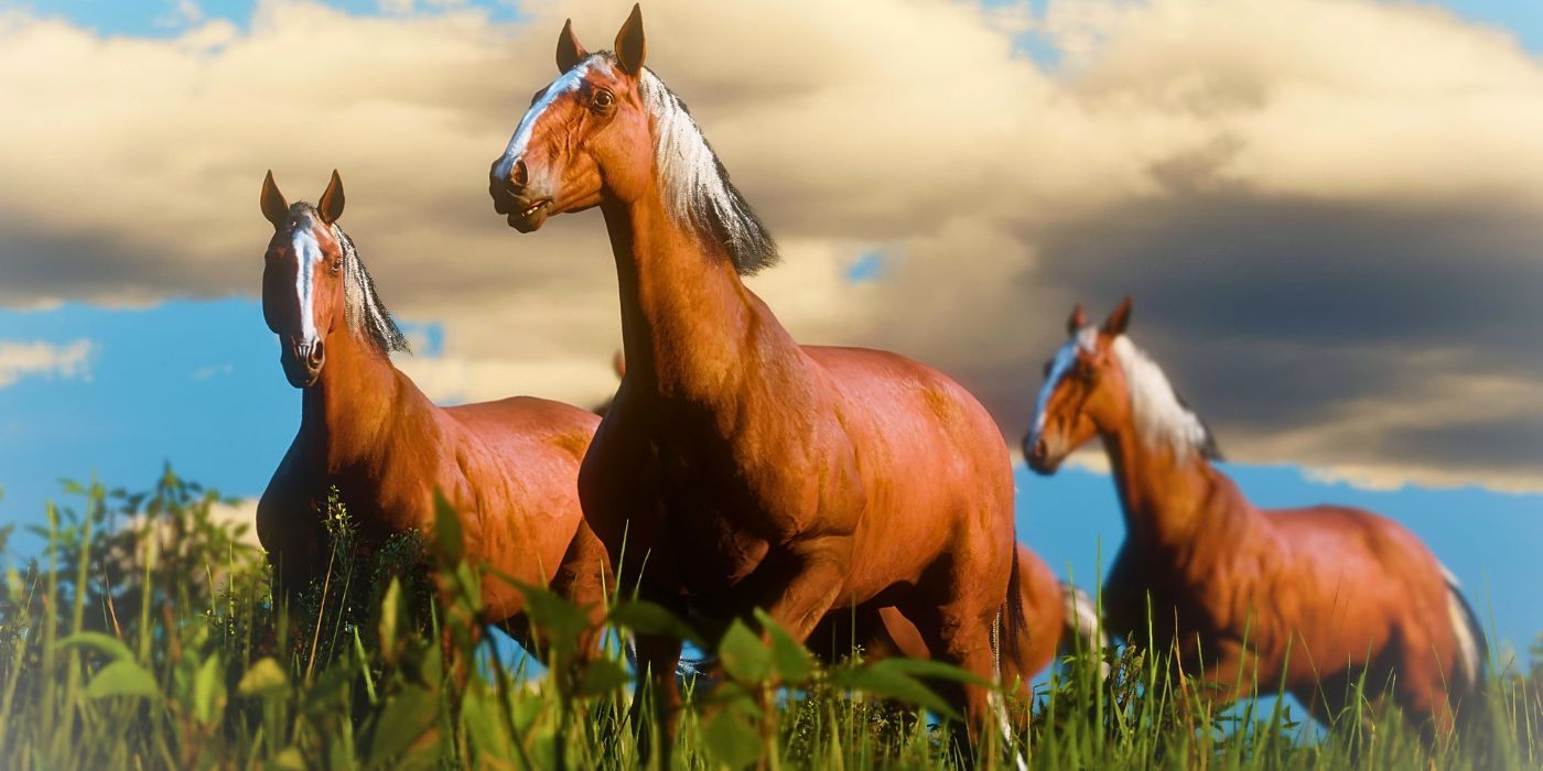 A trio of horses running in a field in RDR 2