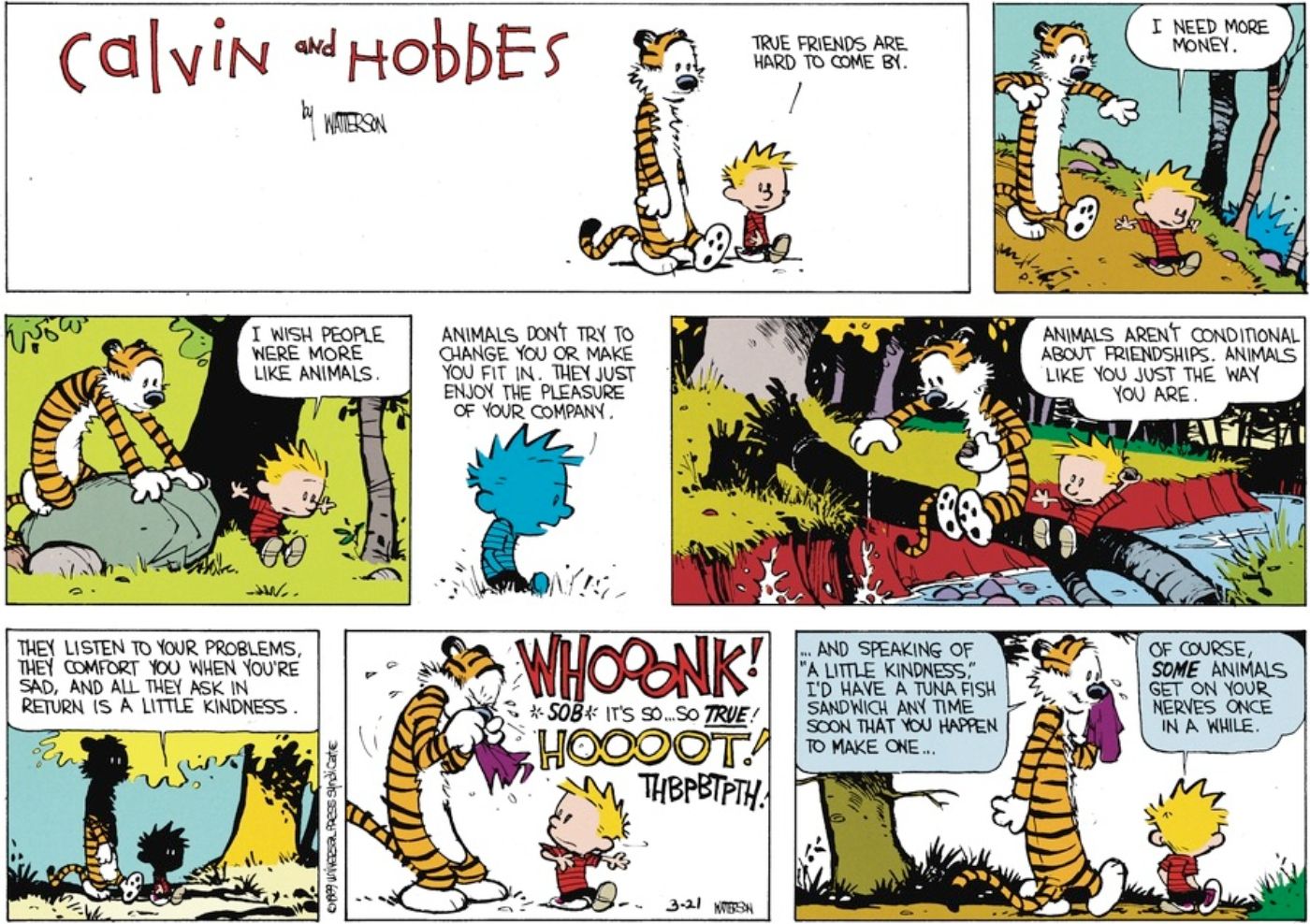 Calvin dizendo a Hobbes o quanto ele o aprecia como amigo enquanto caminham pela floresta.