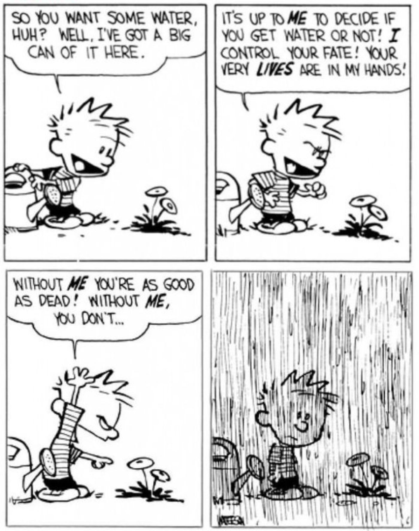 Calvin e Hobbes 'Calvin recebendo chuva depois de provocar suas flores.