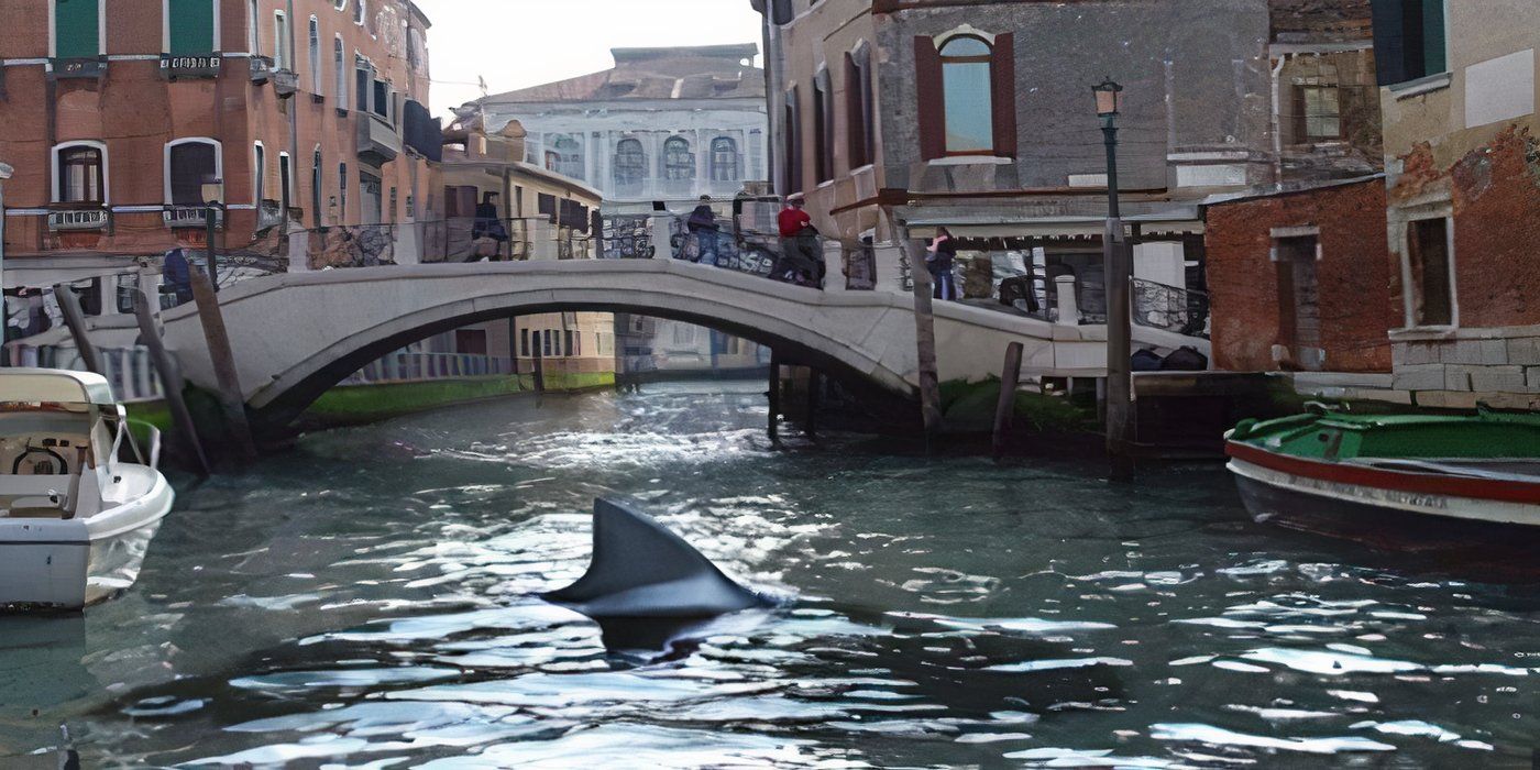 A dorsal fin emerges from the canal in Shark in Venice 2008