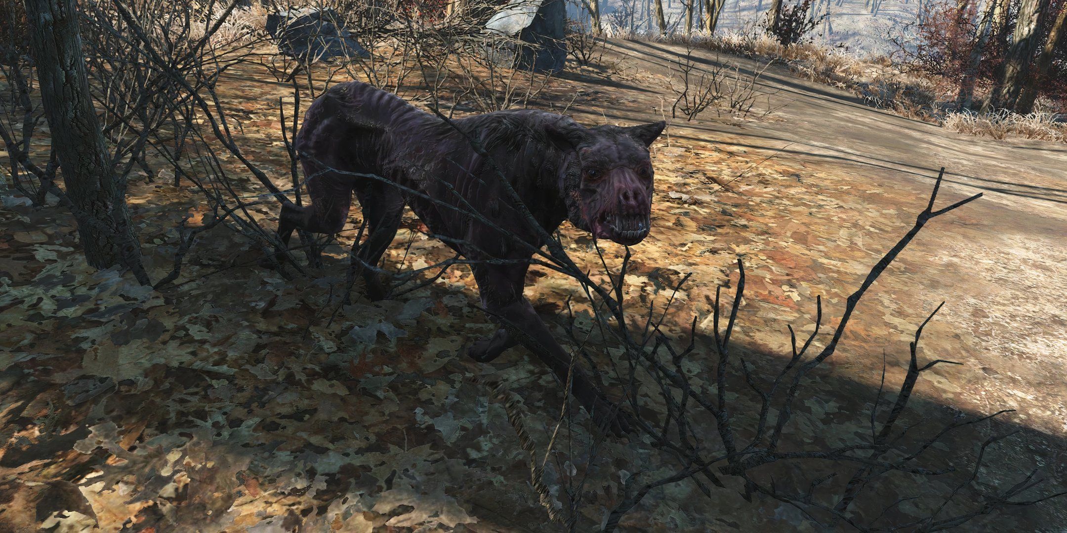 Fallout 4's 10 Best Random Encounters