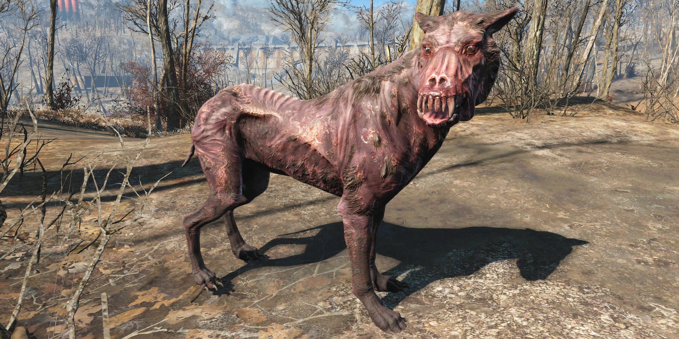 Fallout 4's 10 Best Random Encounters