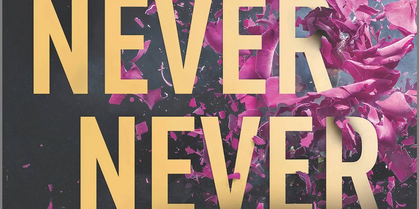Book cover for Never Never