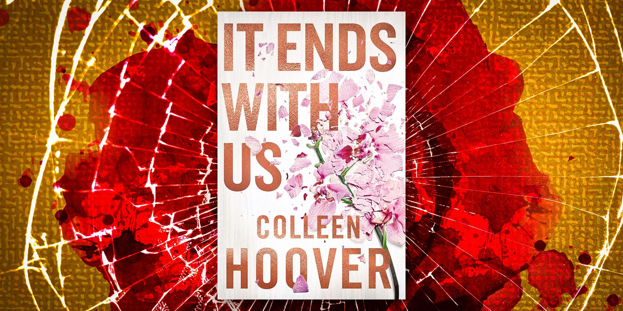 Why Colleen Hoover’s 2016 book is so controversial