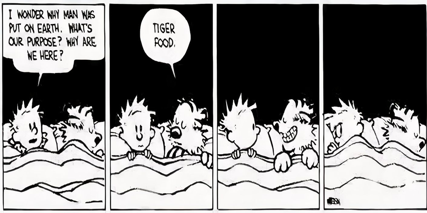 Antes de dormir, Calvin questiona por que a humanidade existe; Calvin responde: “Comida de tigre”.