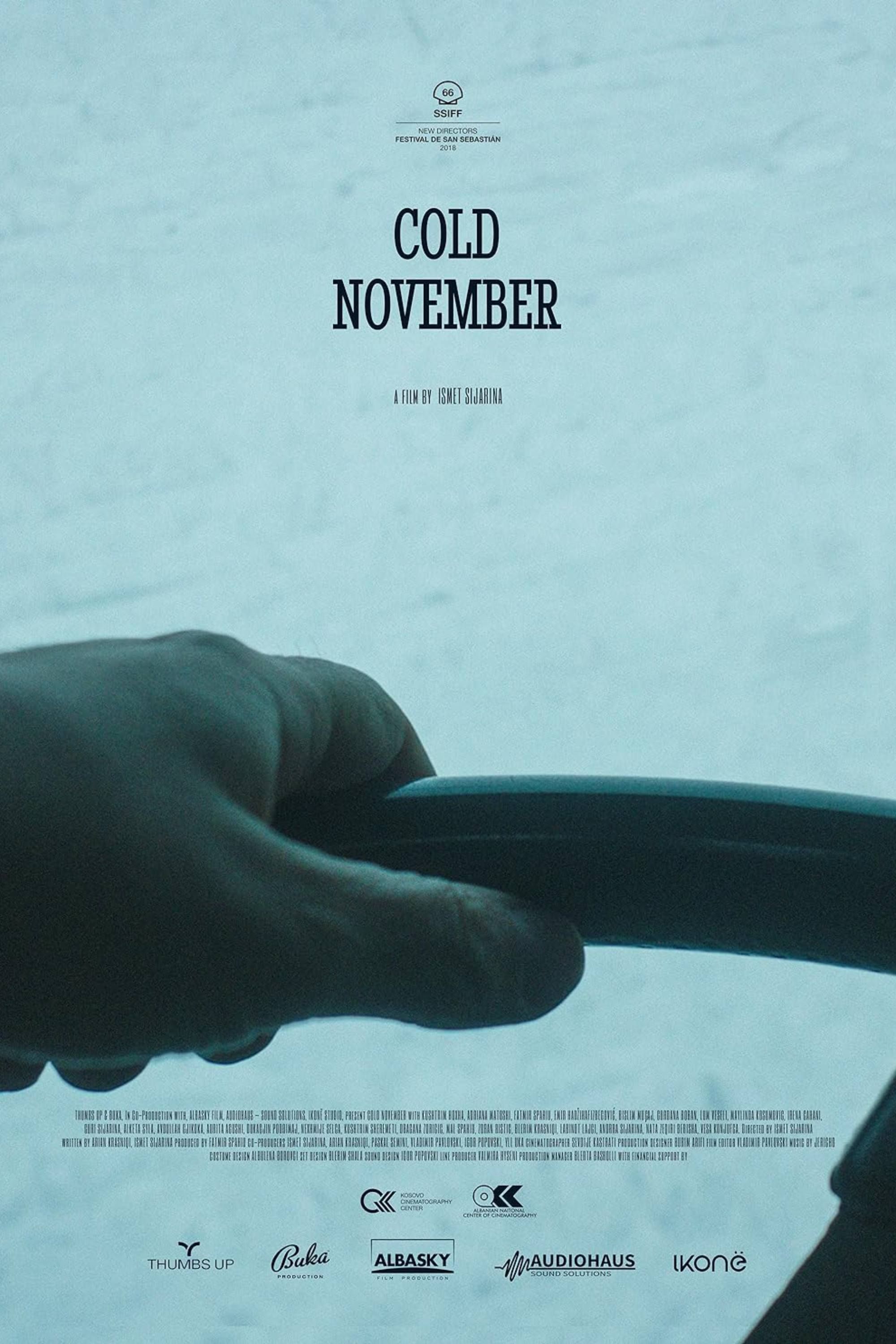 Cold November (2018) - Poster