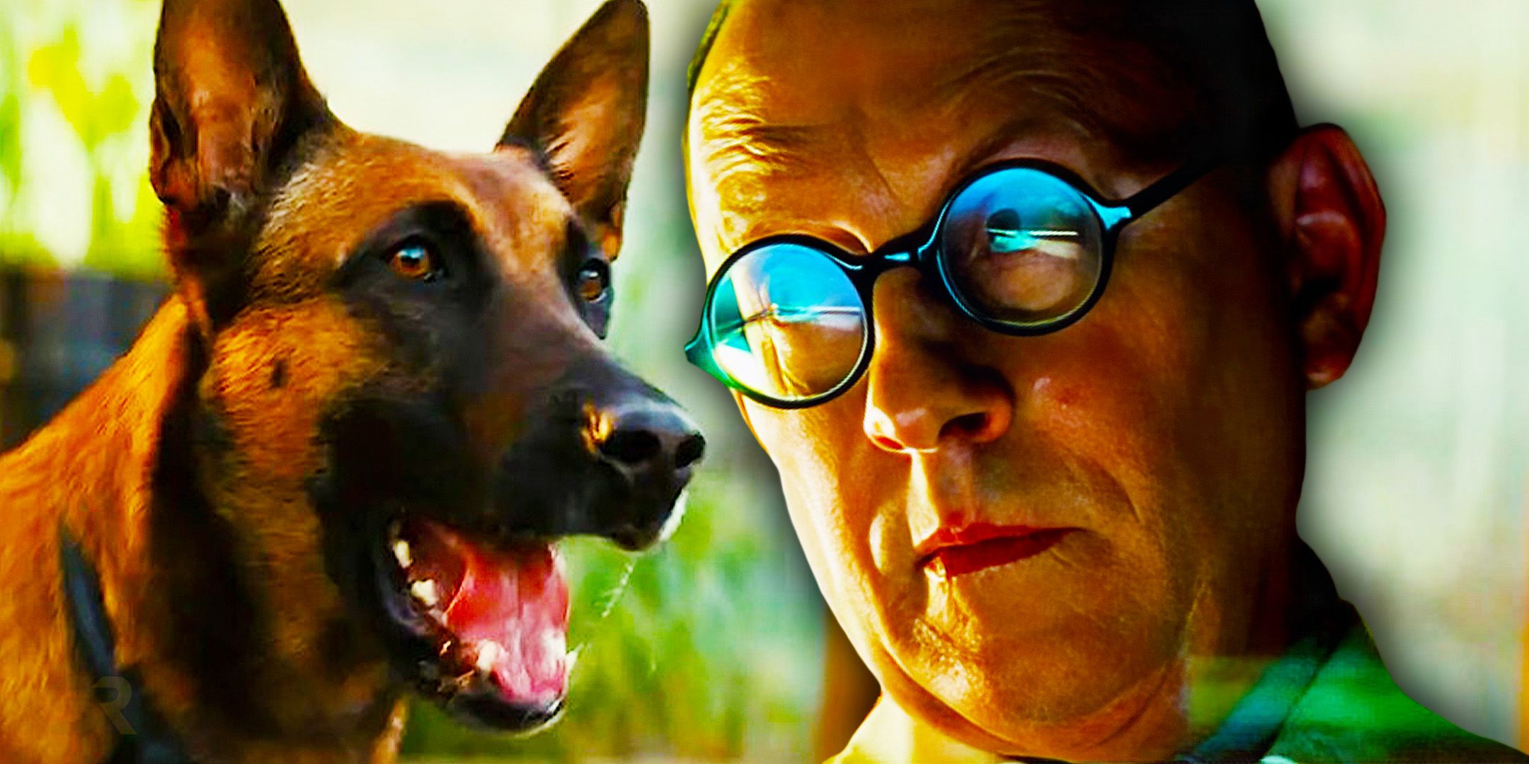 Dogmeat Origin Could Lead To Surprising Creature Appearing In Fallout Season 2