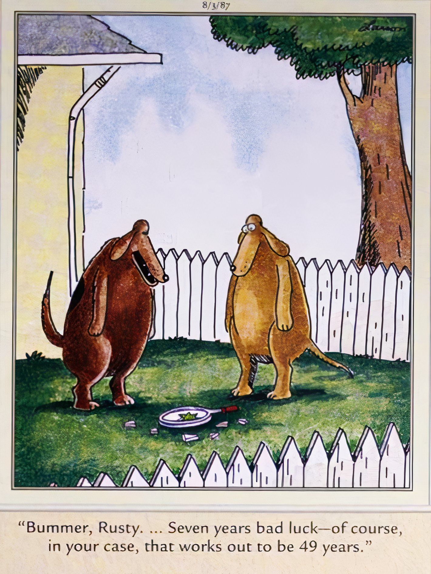 Far Side, um cachorro quebra um espelho e, conseqüentemente, tem 49 anos de azar