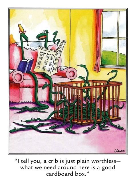 far side comic snakes in a crib